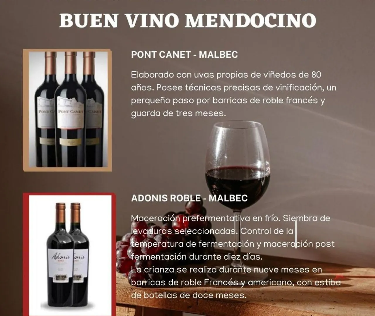 Apartamento Cielo Andino Syrah -Céntrico- Mendoza